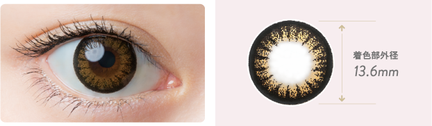 ●クリアレンズ採用 ●ヴィヴィッドブラウン採用