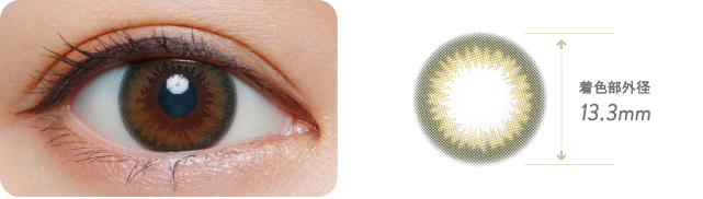 ●クリアレンズ装用 ●ブラウンブーケ装用