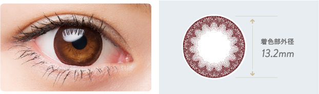 ●クリアレンズ採用 ●ラッセルブラウン採用