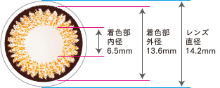 着色部内径6.5mm 着色部外形13.6mm レンズ直径14.2mm