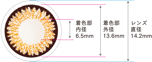 着色部内径6.5mm 着色部外形13.6mm レンズ直径14.2mm