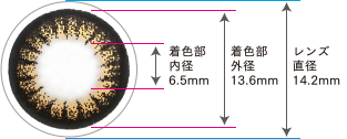 着色部内径6.5mm 着色部外形13.6mm レンズ直径14.2mm