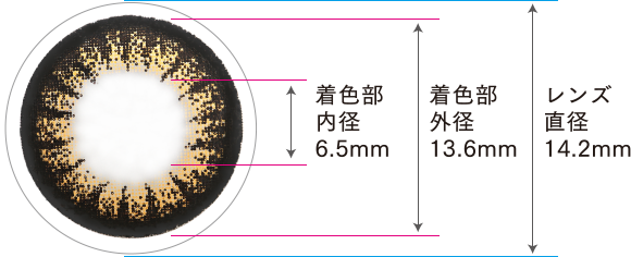着色部内径6.5mm 着色部外形13.6mm レンズ直径14.2mm