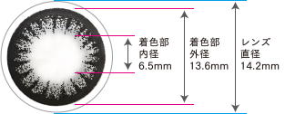 着色部内径6.5mm 着色部外形13.6mm レンズ直径14.2mm